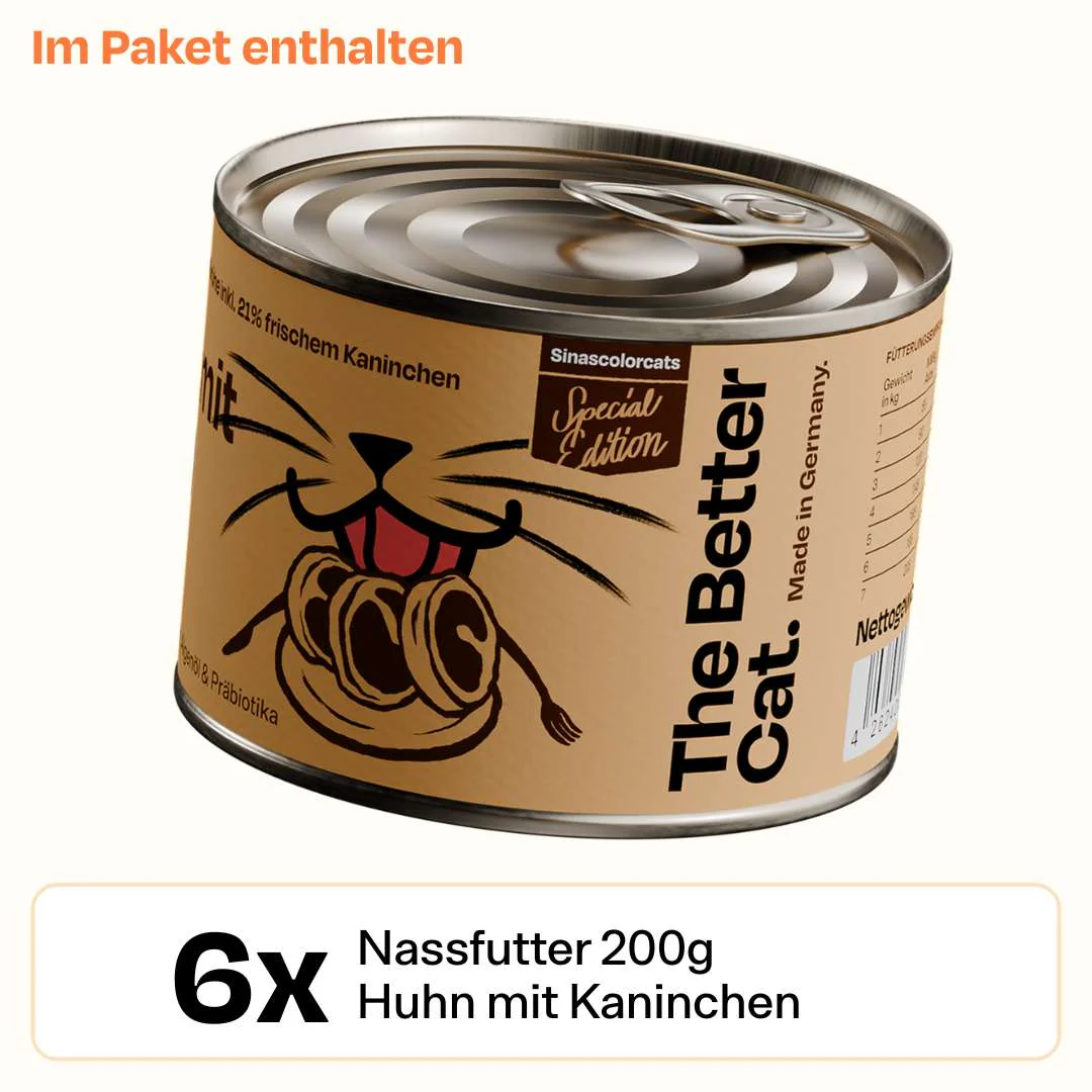 Vorschaubild 3
