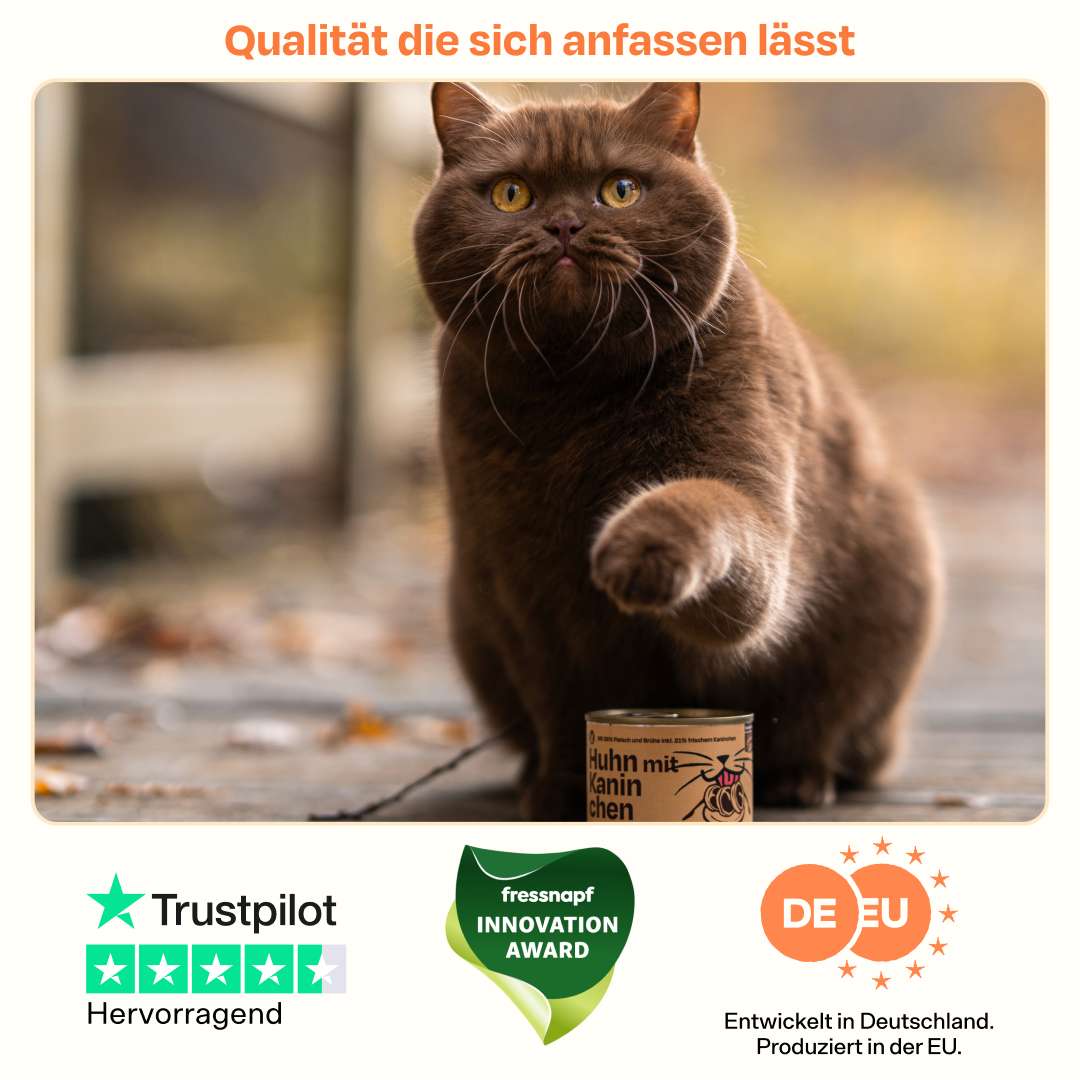 Vorschaubild 7