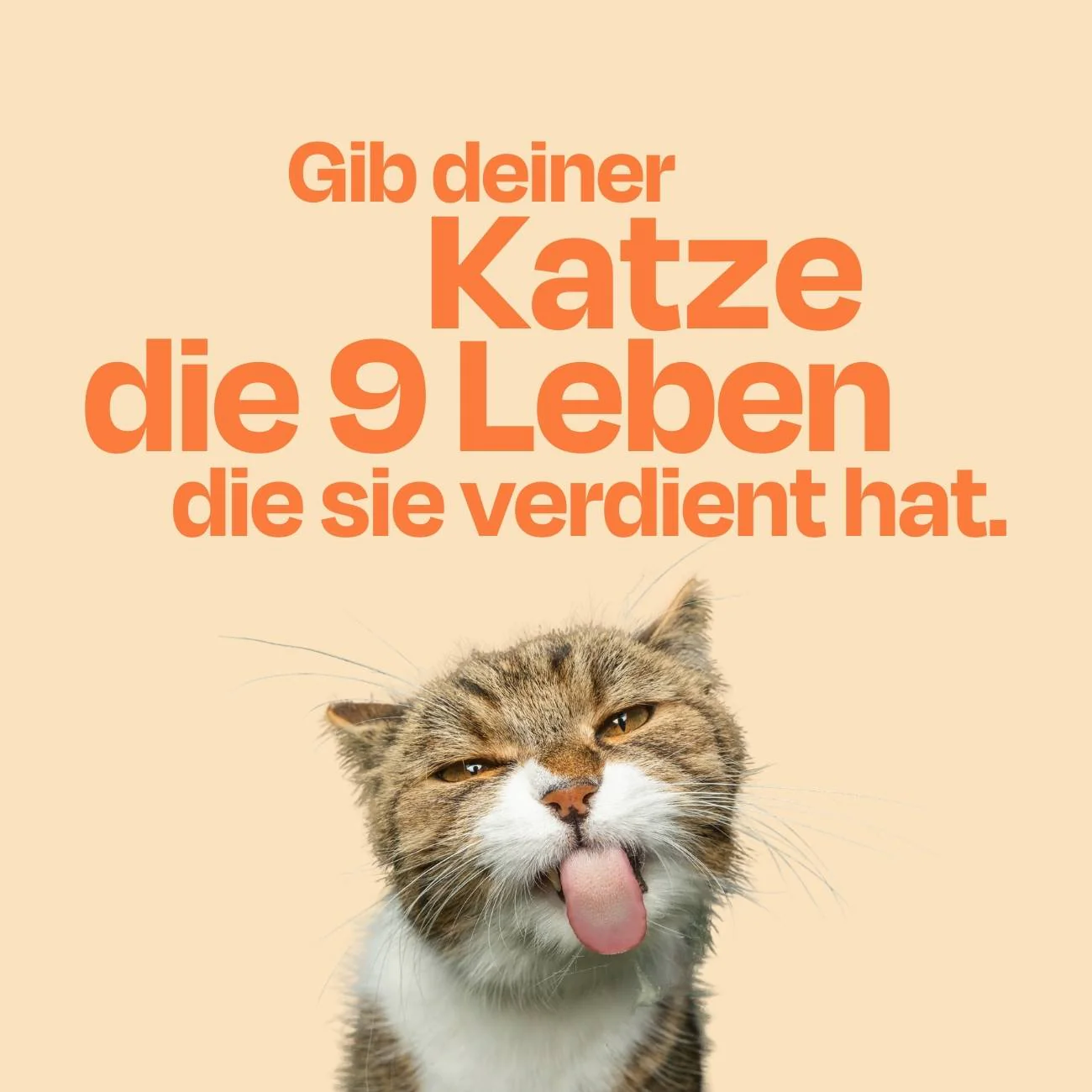 Vorschaubild 10