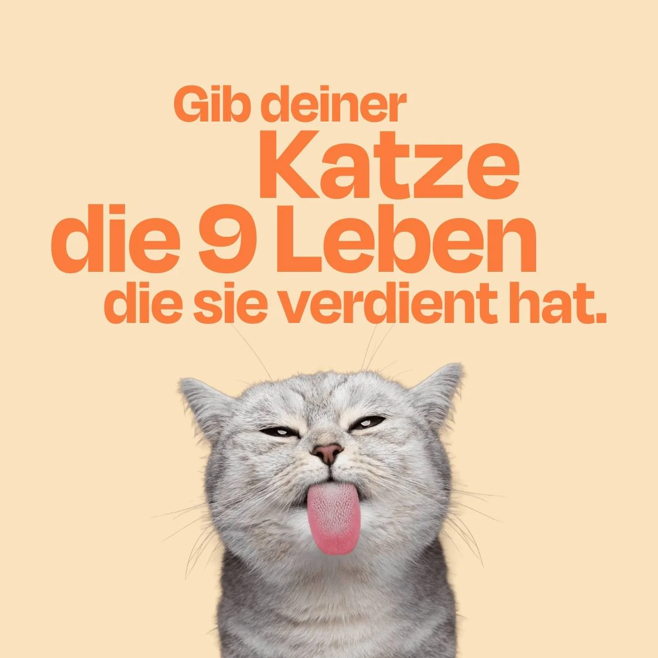 Vorschaubild 10