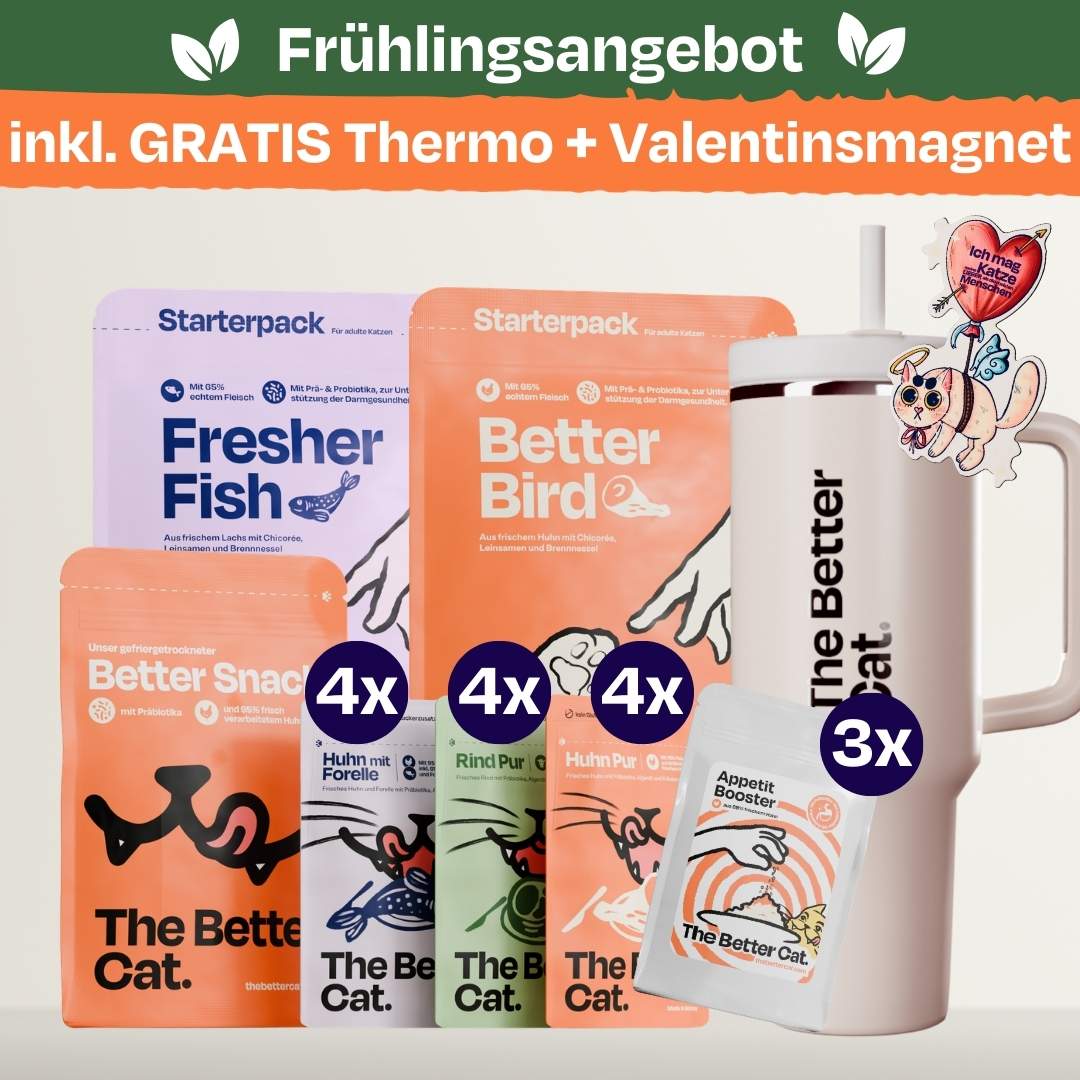 Angebote - Gratis Katzenfutter