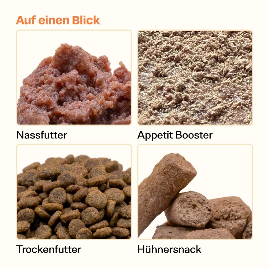 Vorschaubild 9
