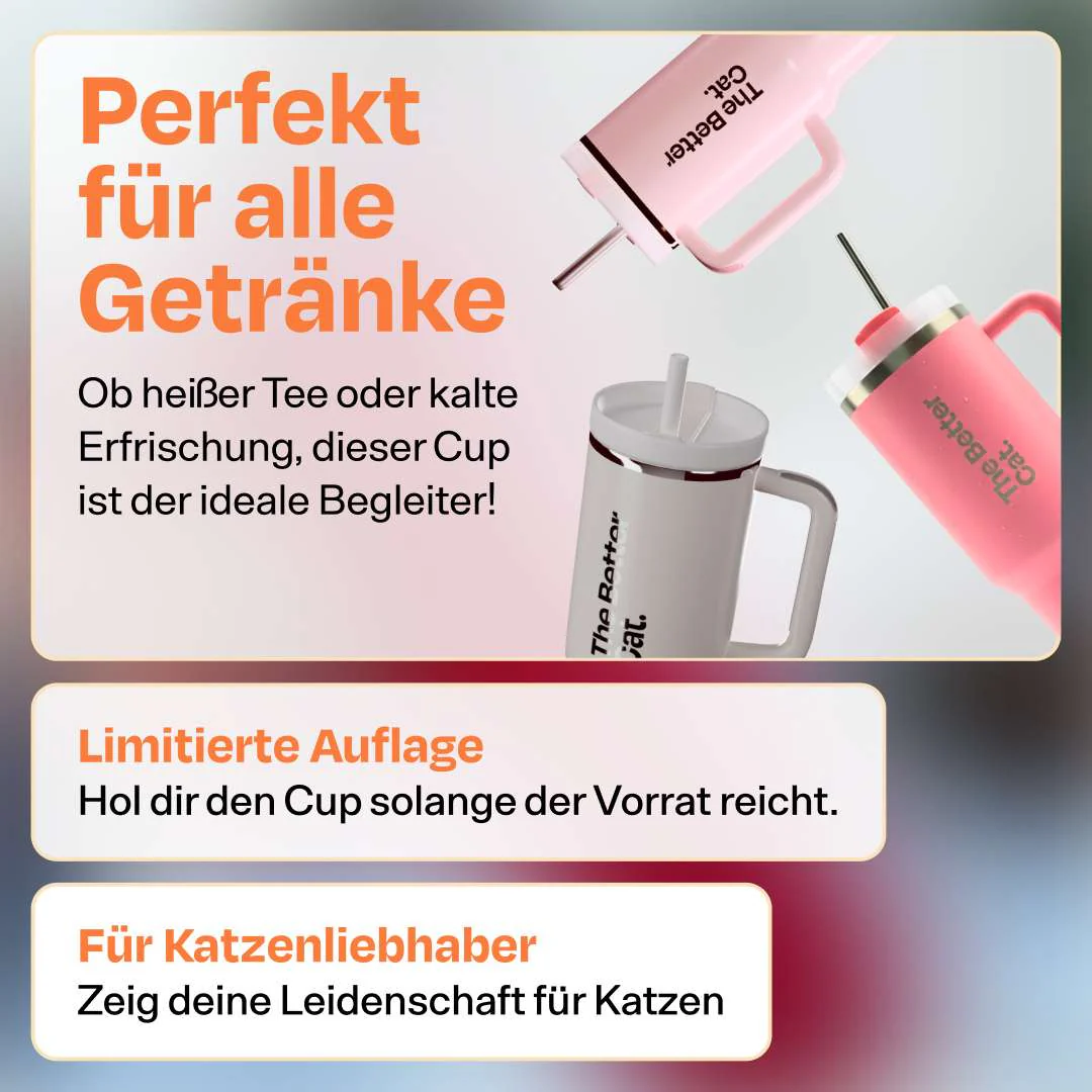 Vorschaubild 14