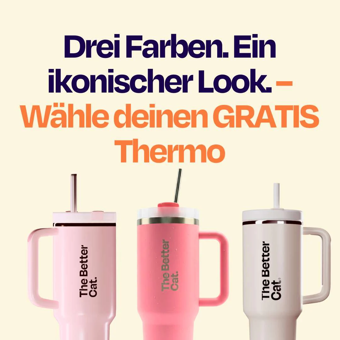 Vorschaubild 19
