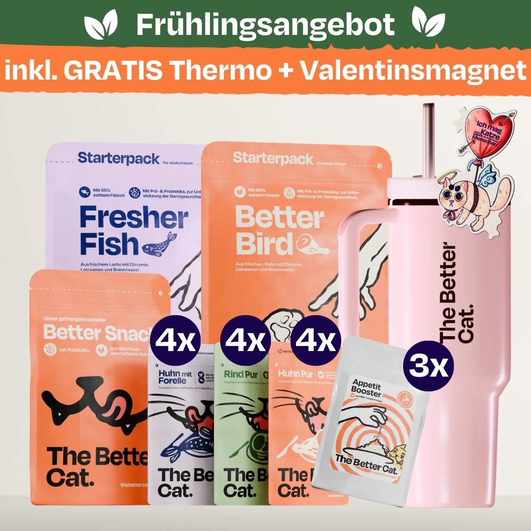 Vorschaubild 27