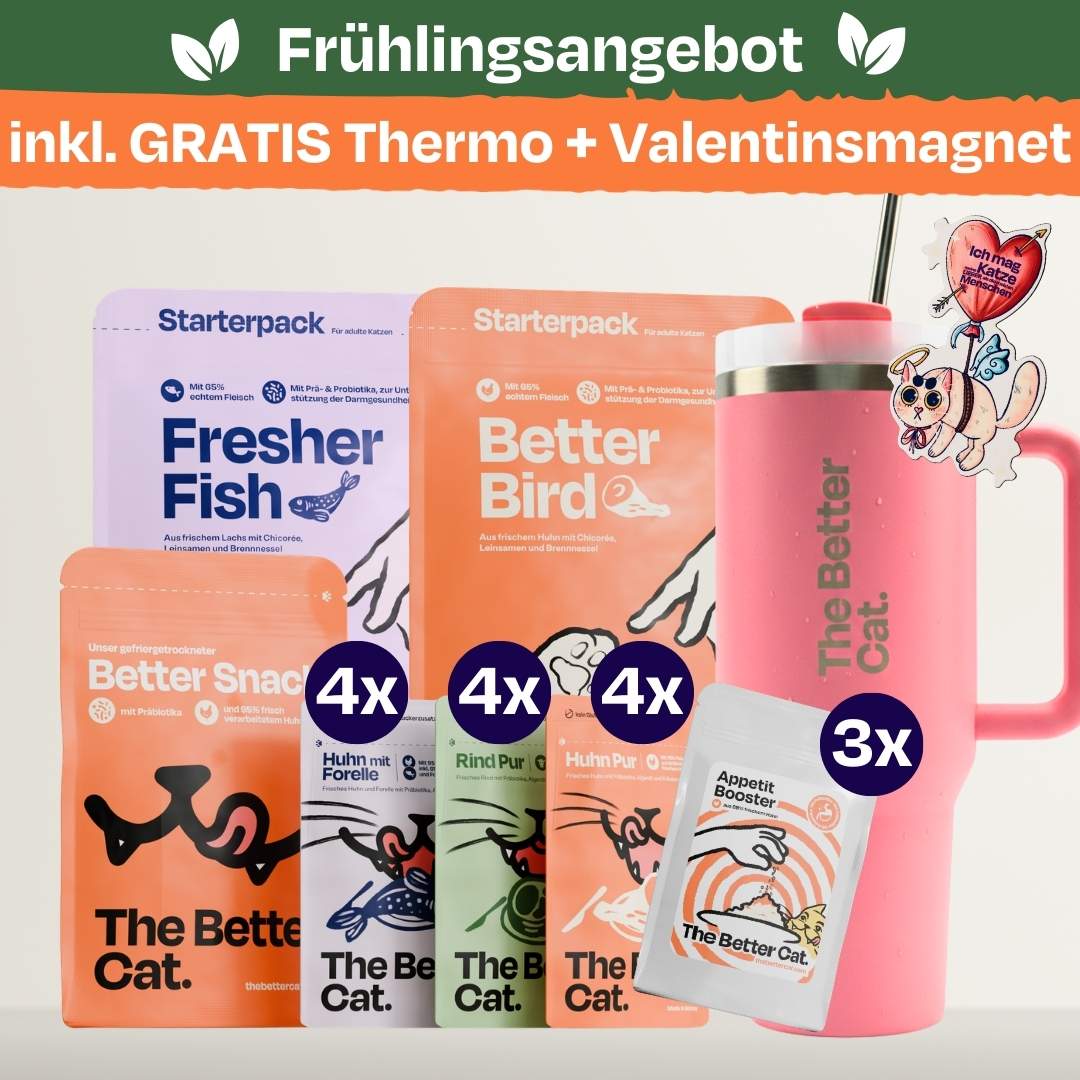 Vorschaubild 28