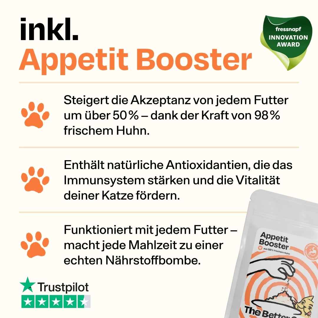 Vorschaubild 5