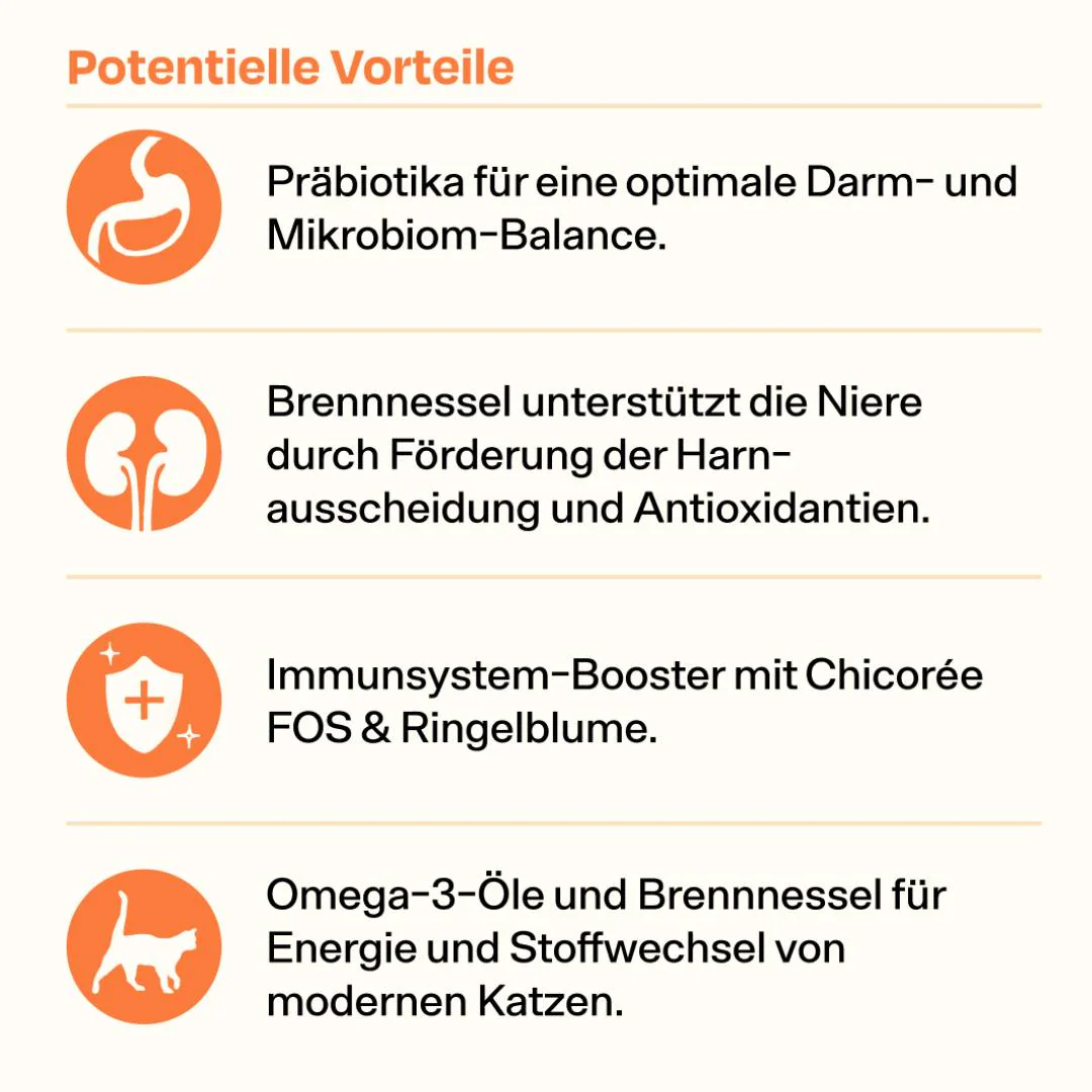 Vorschaubild 8