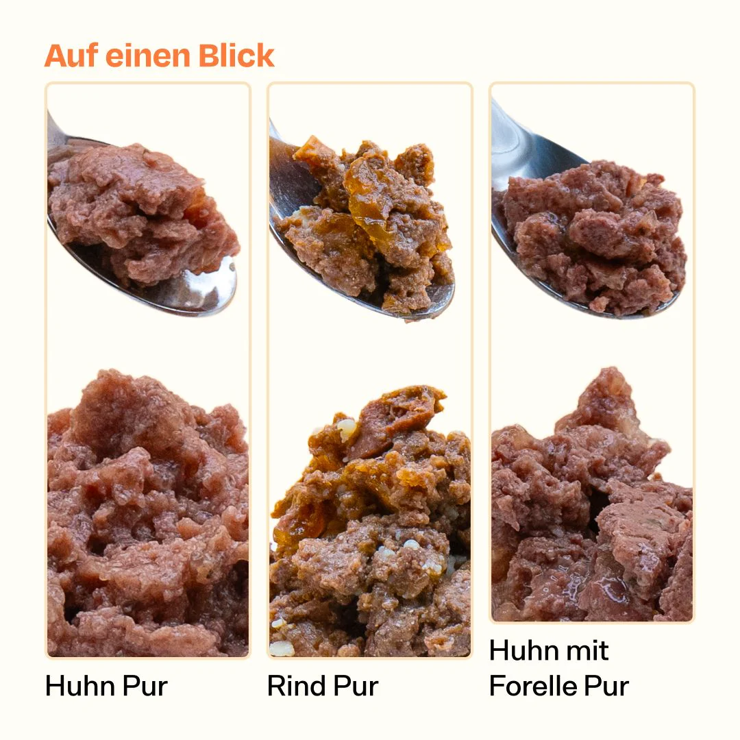 Vorschaubild 6