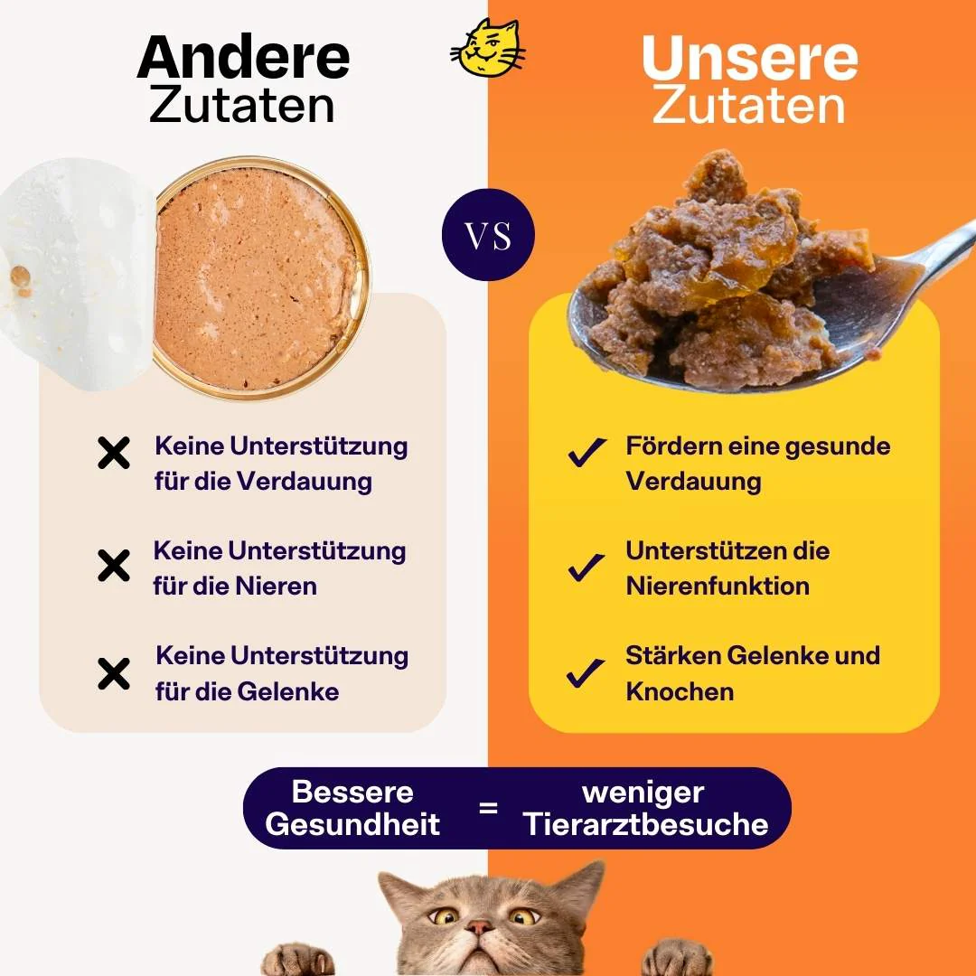 Vorschaubild 14