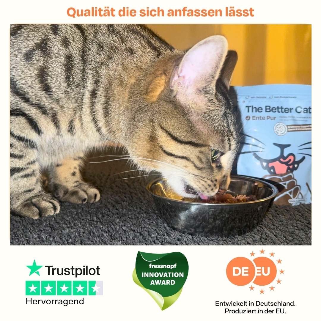 Vorschaubild 7