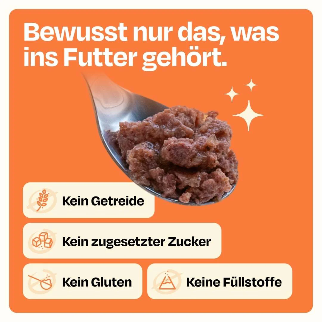 Vorschaubild 10