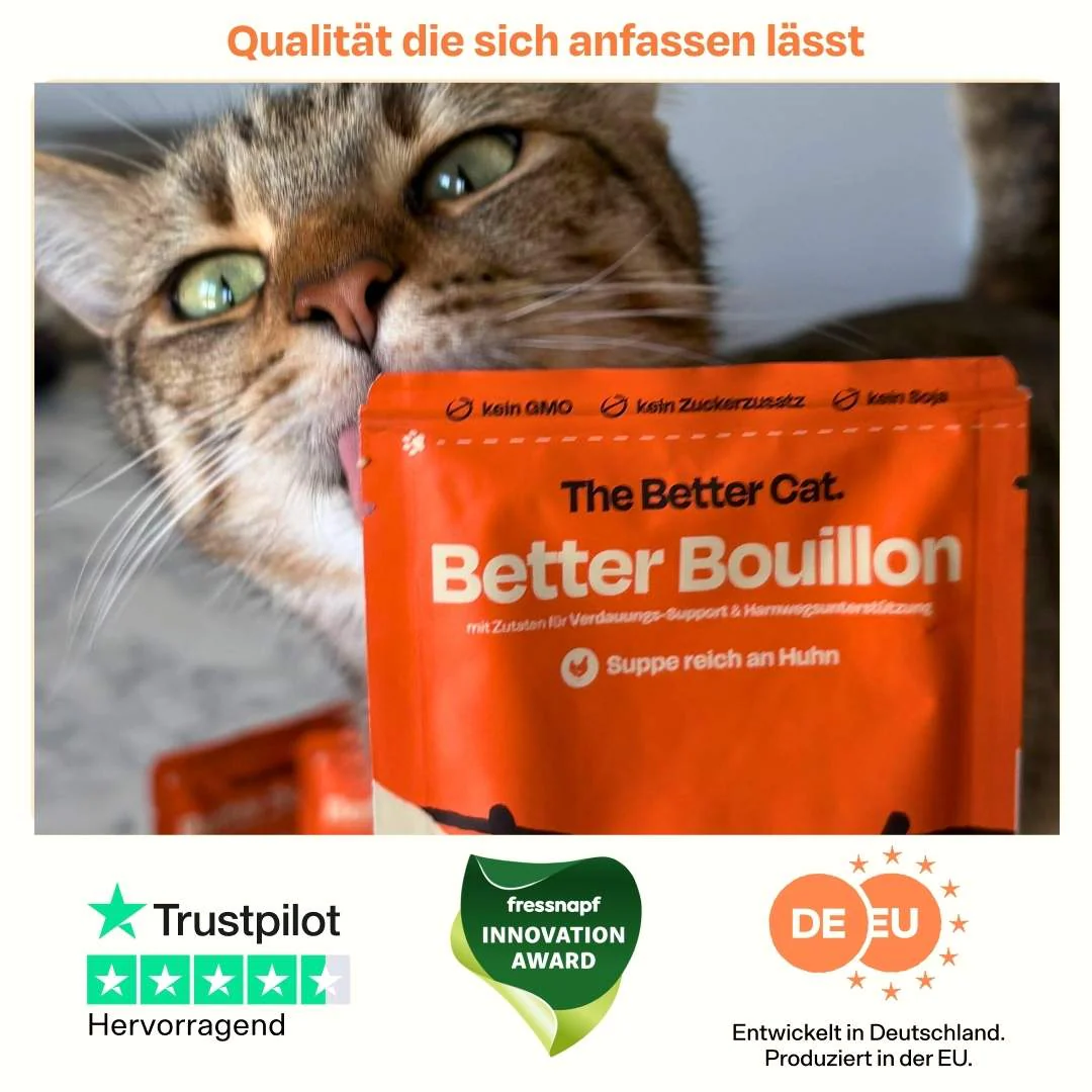 Vorschaubild 7