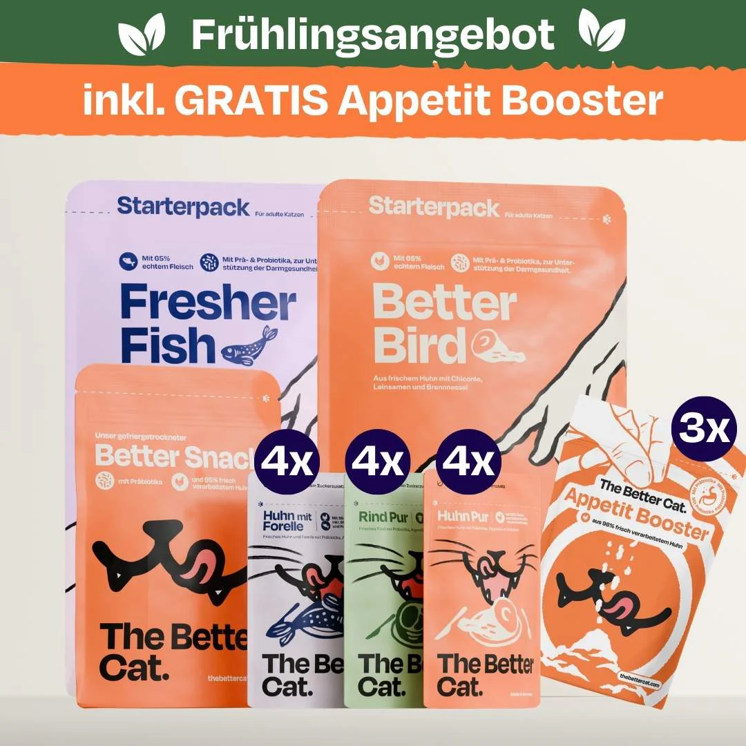 Spar Angebote