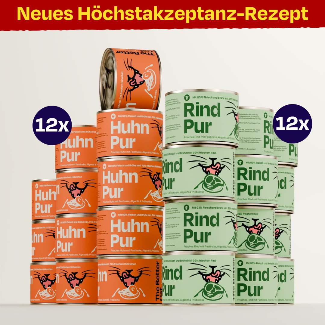 Vorschaubild 19