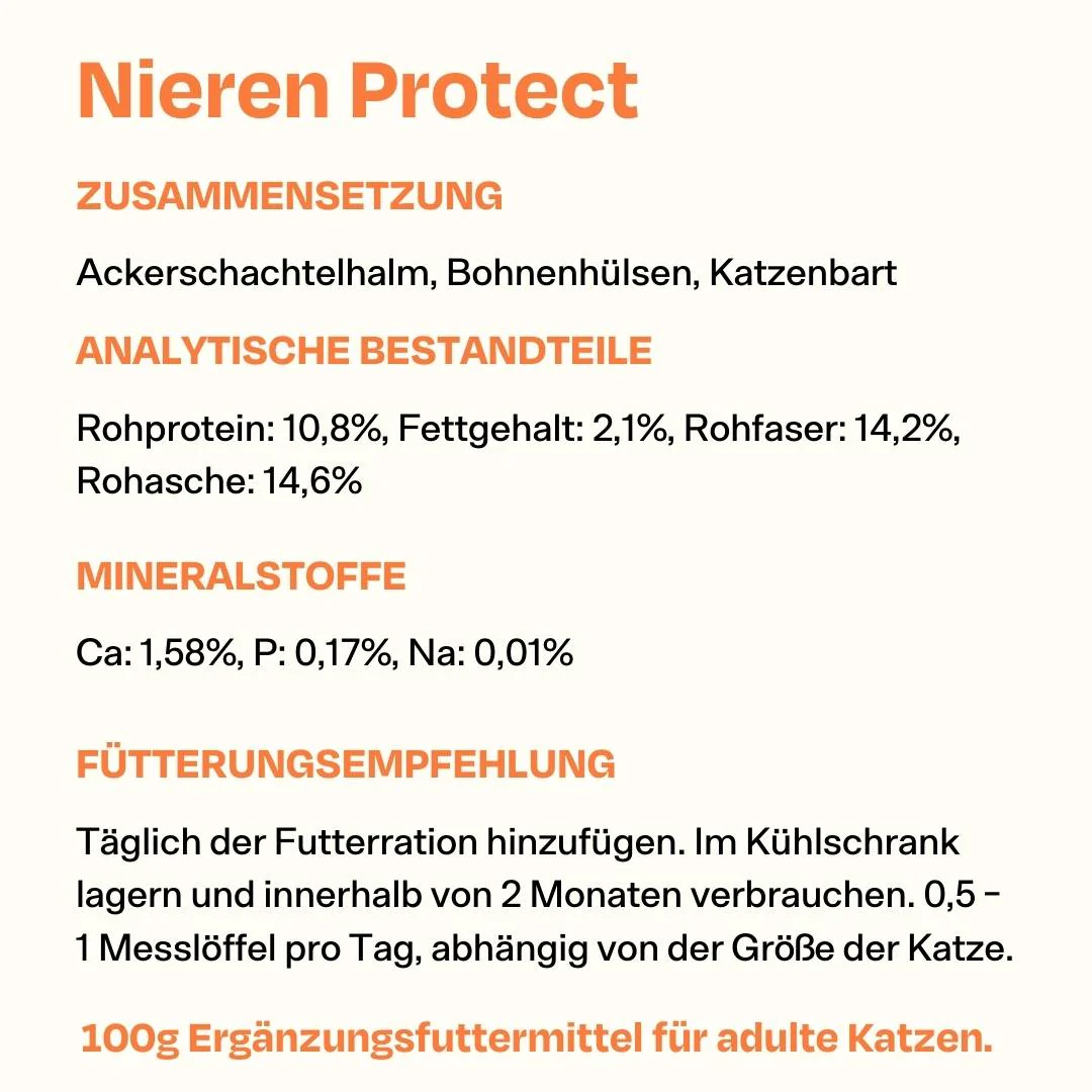Vorschaubild 12