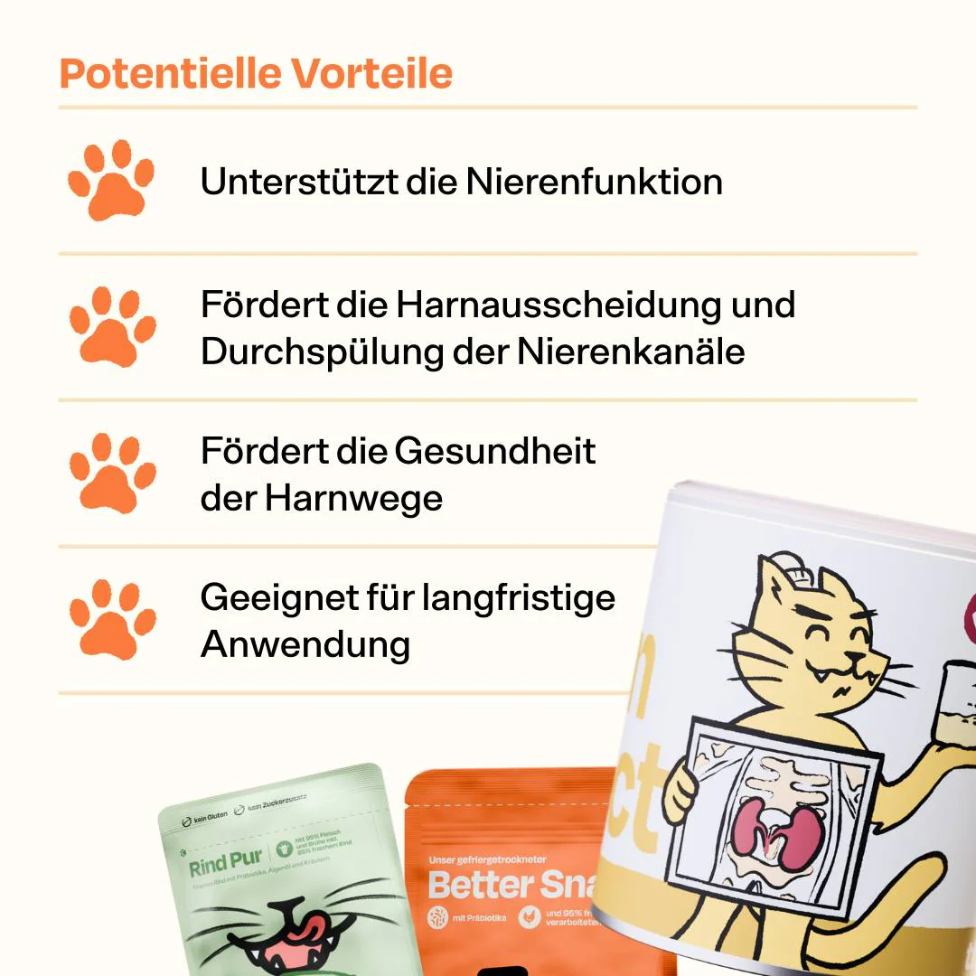Vorschaubild 6