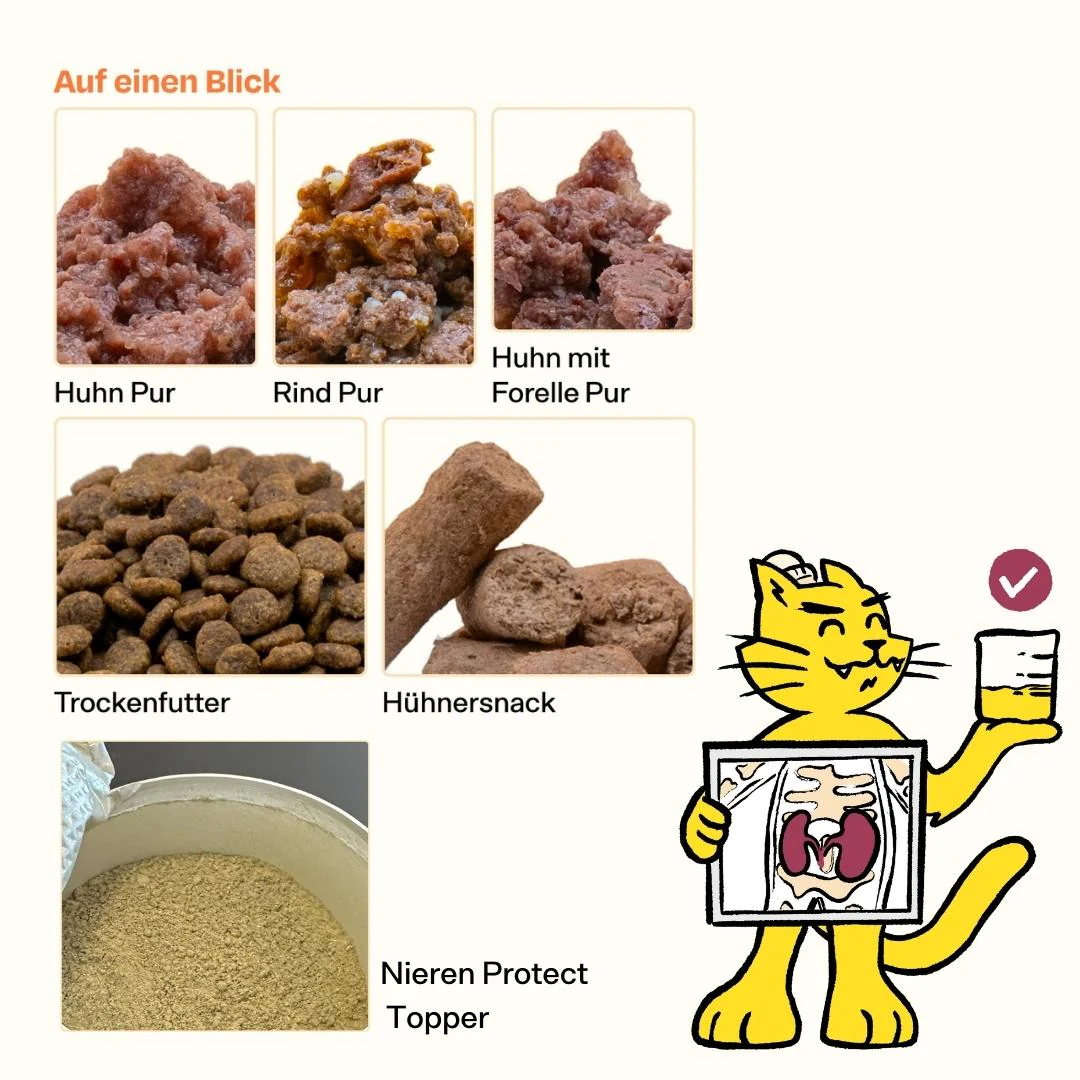 Vorschaubild 7