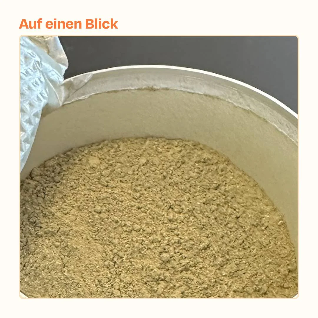 Vorschaubild 6