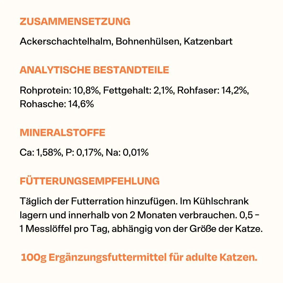 Vorschaubild 9