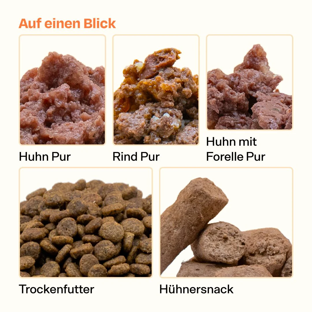 Vorschaubild 5