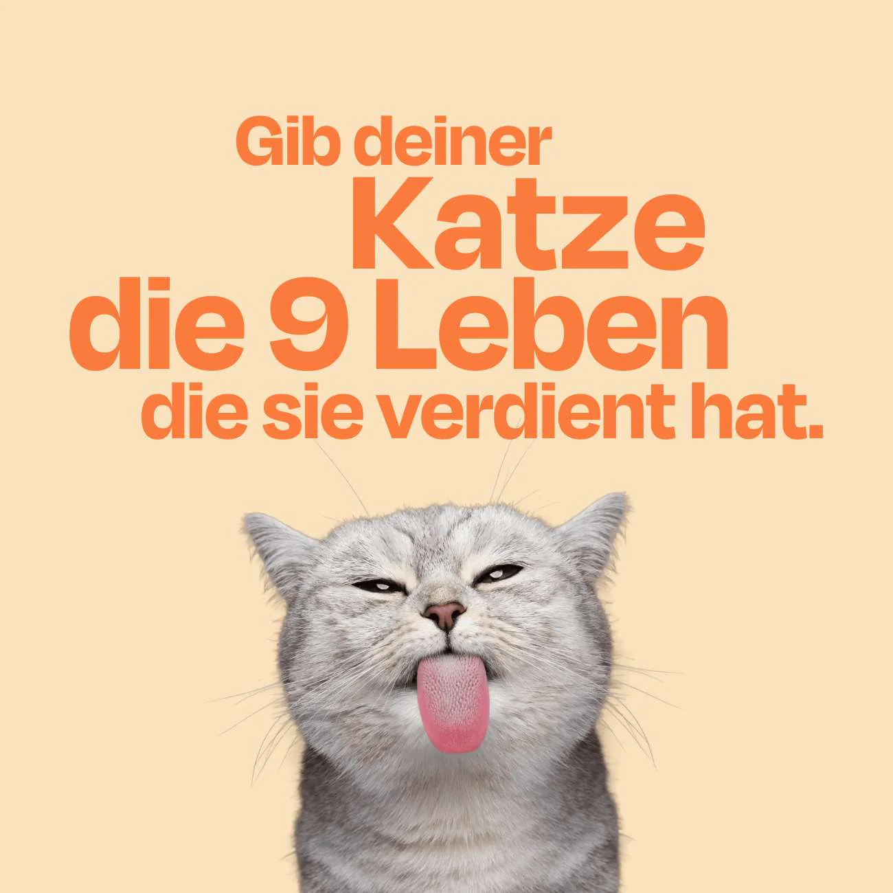 Vorschaubild 13