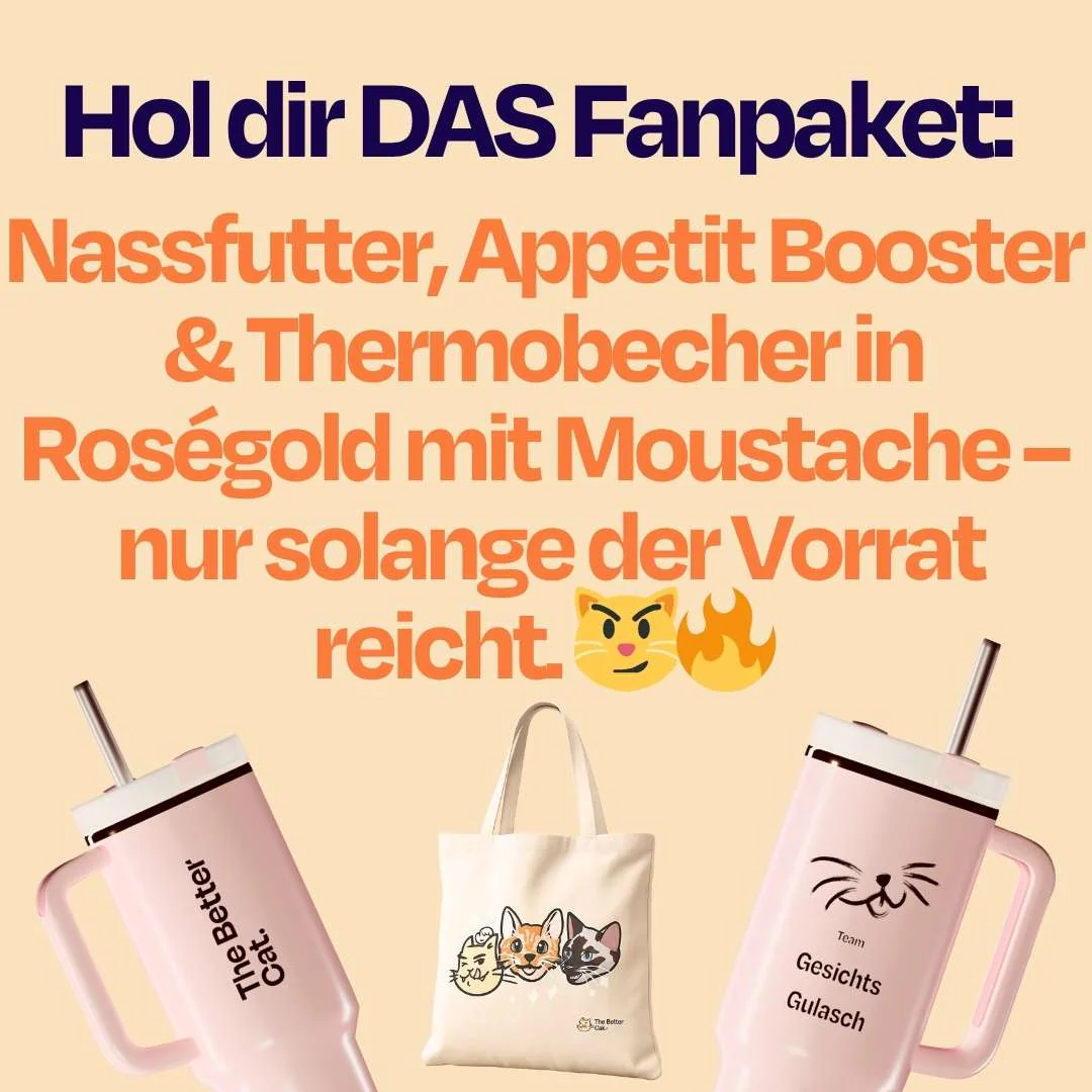 Vorschaubild 16