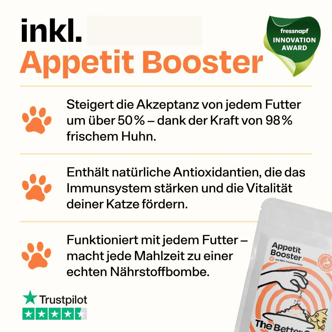 Vorschaubild 7
