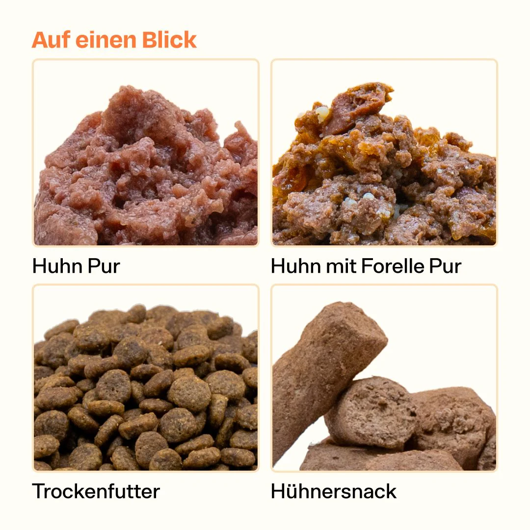 Vorschaubild 9