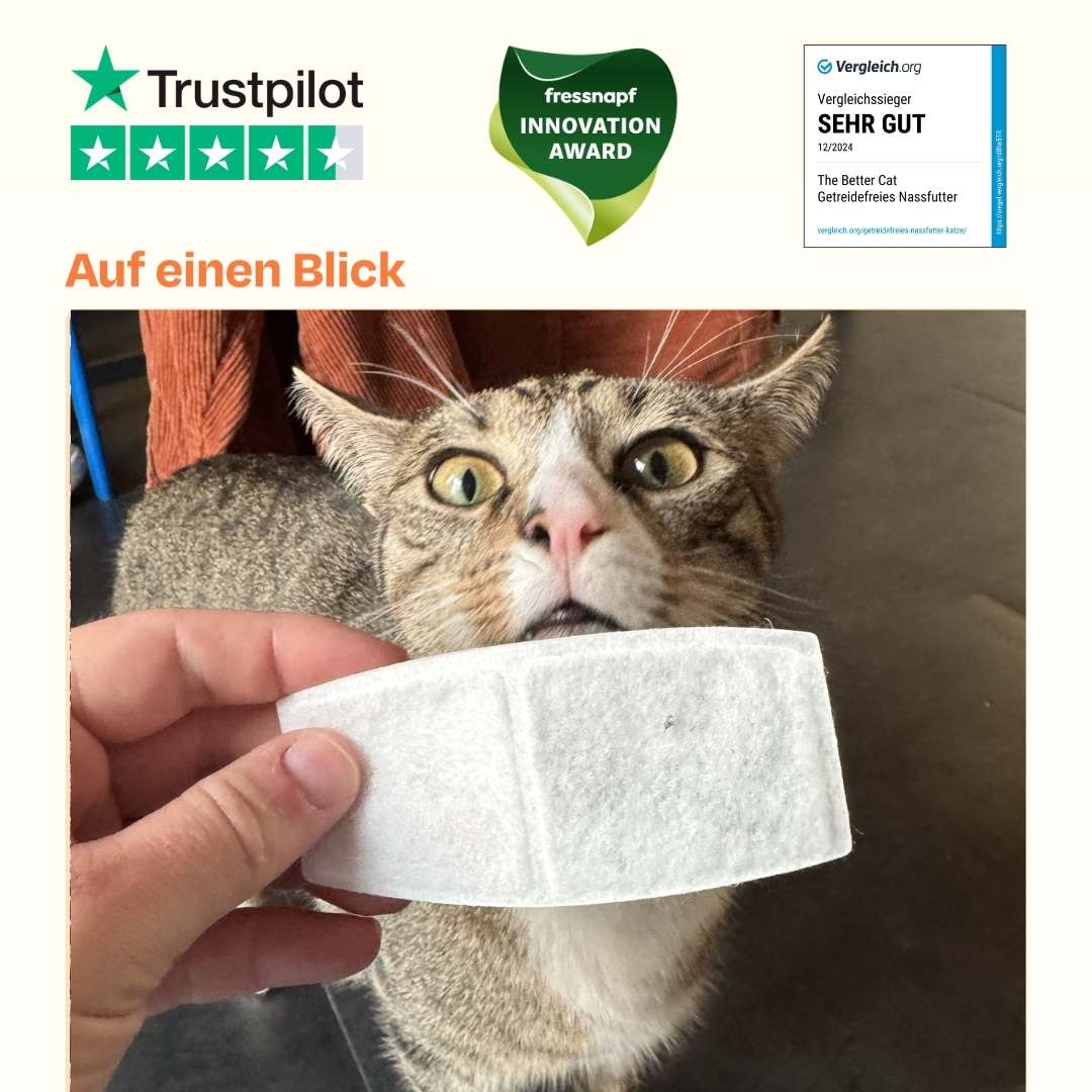 Vorschaubild 4