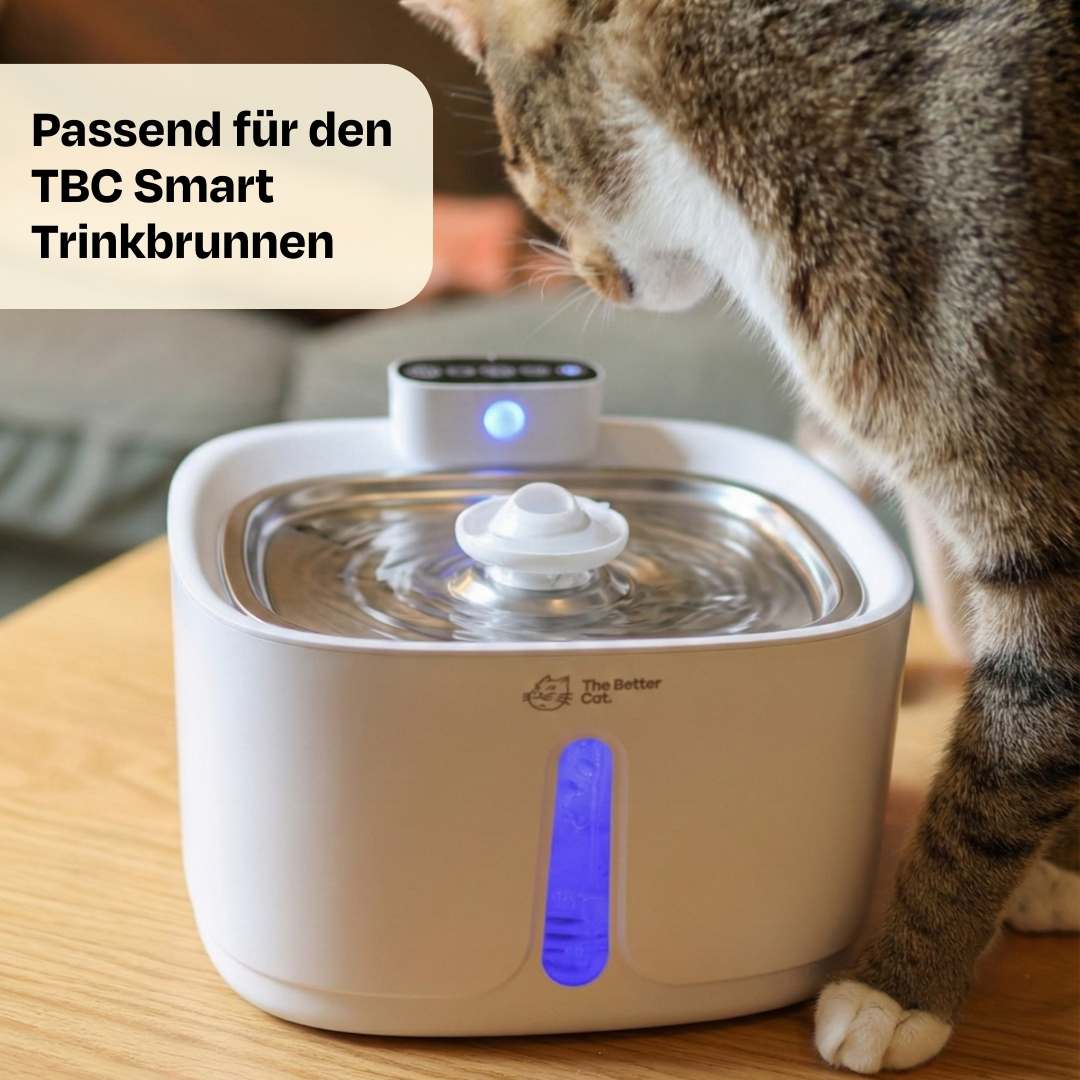 Vorschaubild 5