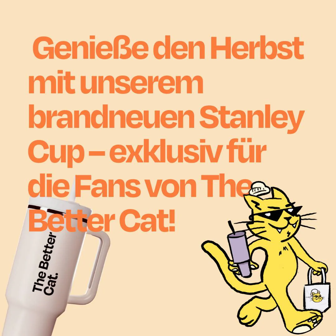 Vorschaubild 6