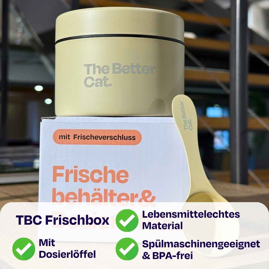 Vorschaubild 10