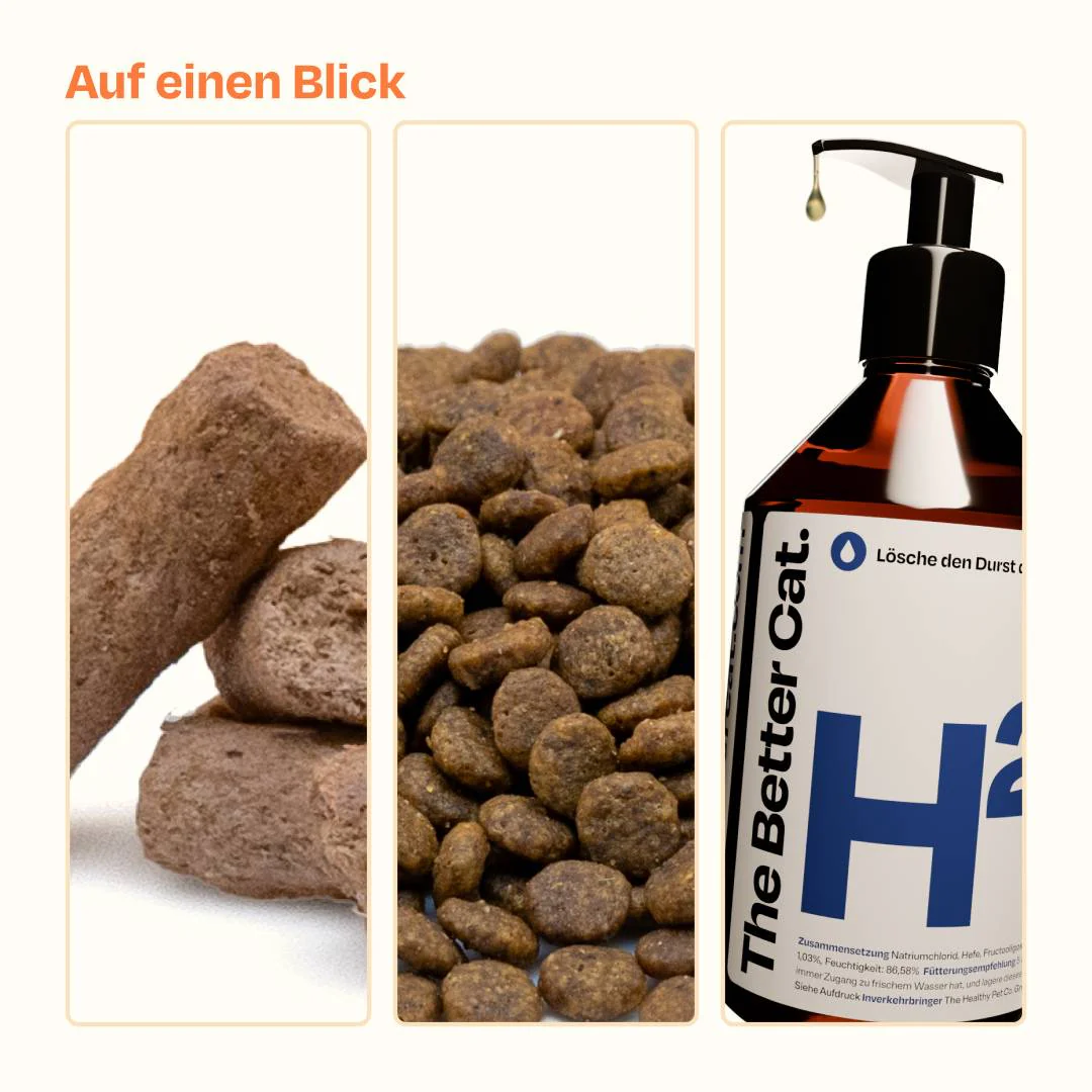 Vorschaubild 11
