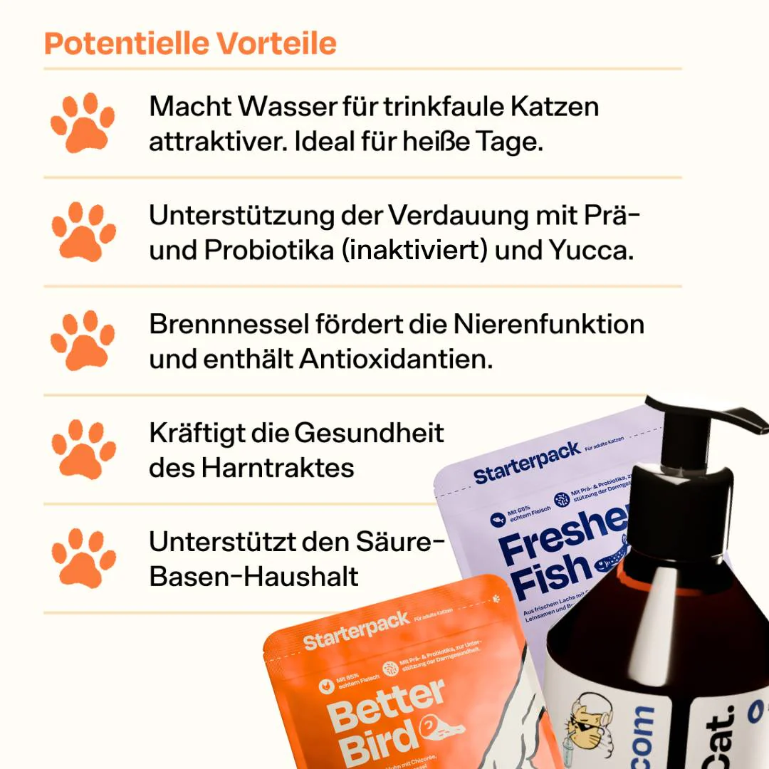 Vorschaubild 5