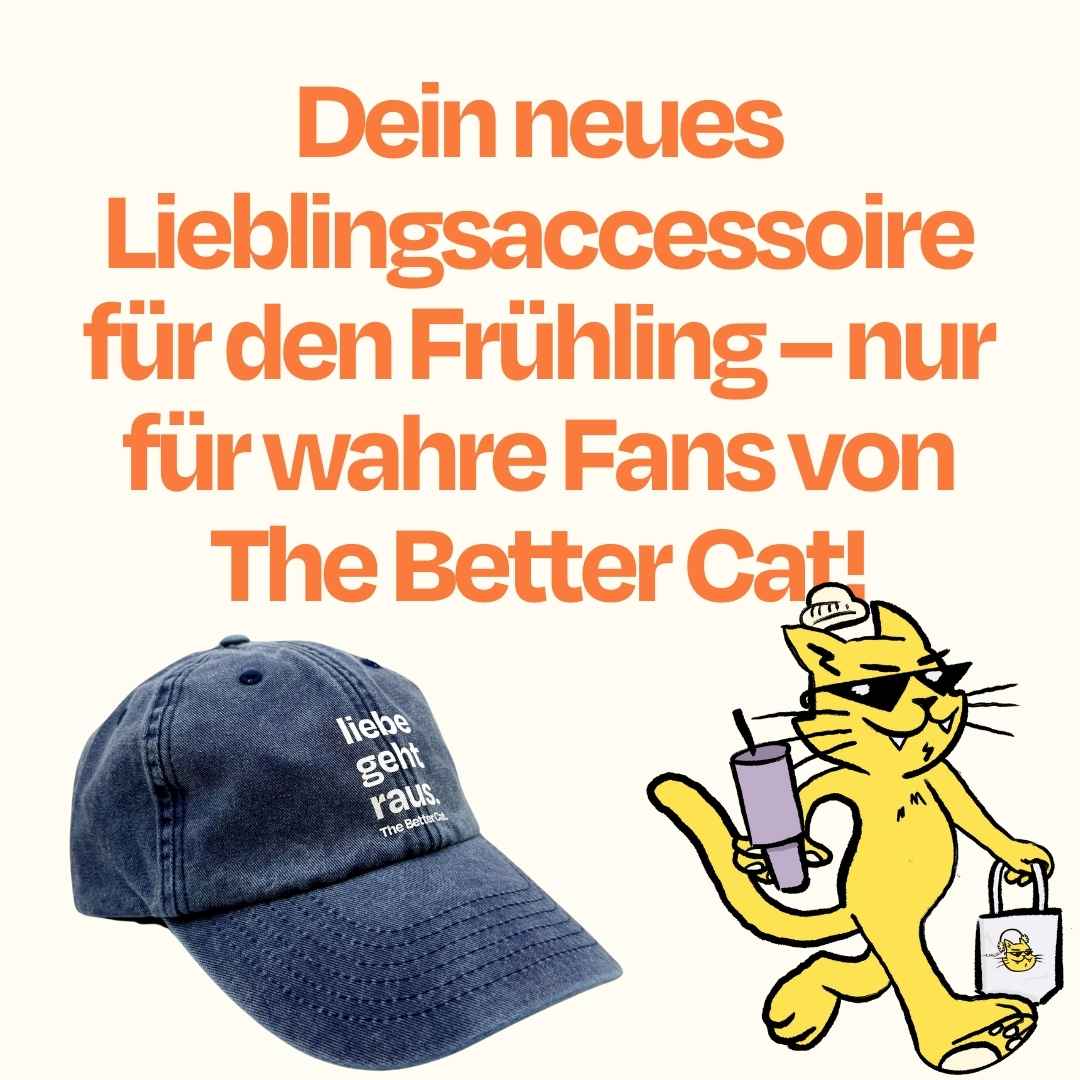 Vorschaubild 8