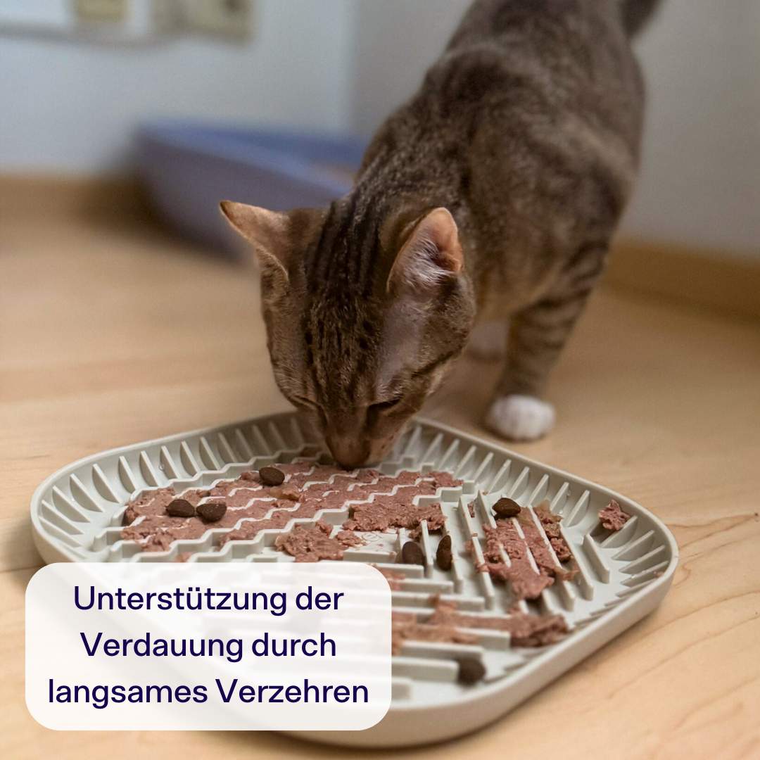 Vorschaubild 5