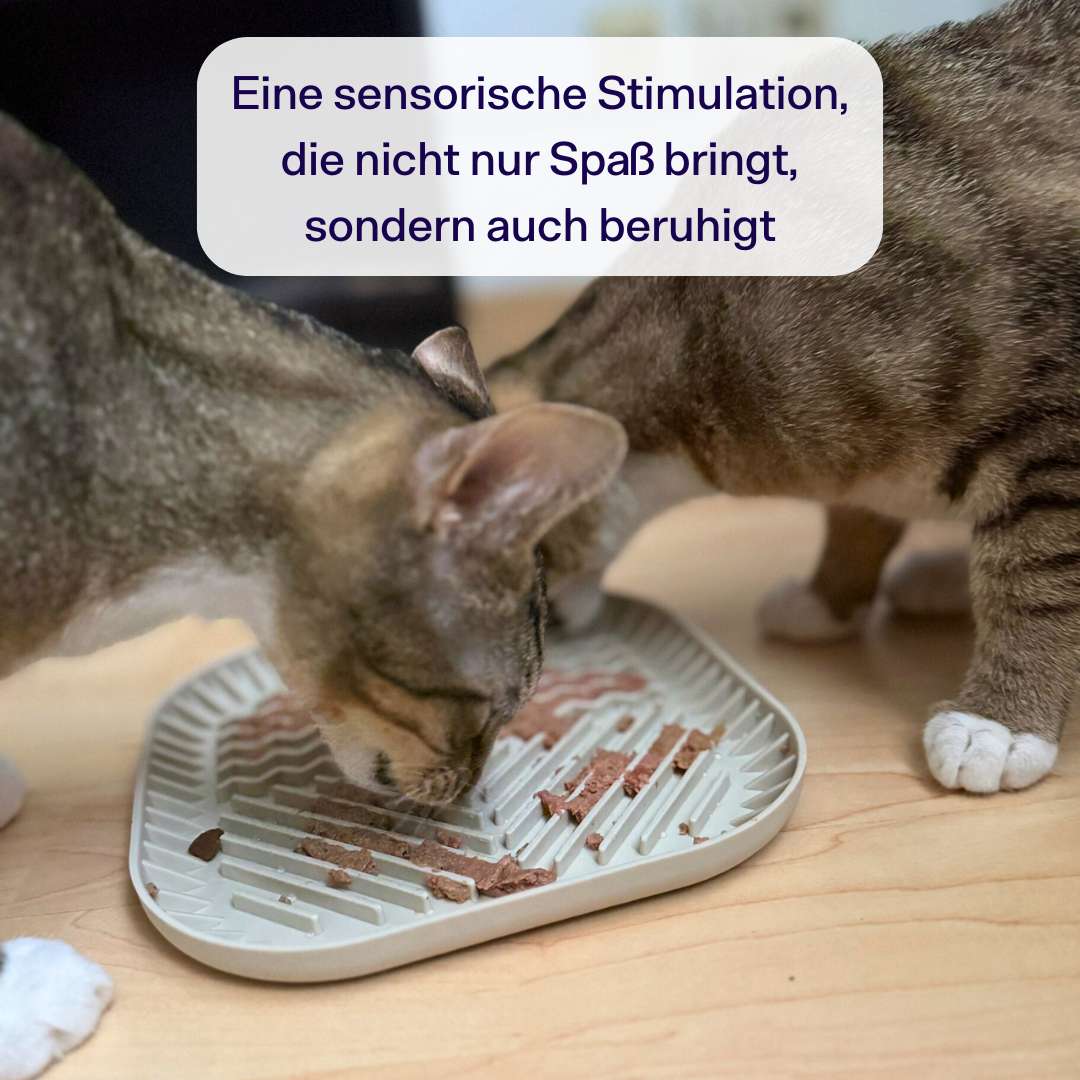 Vorschaubild 6